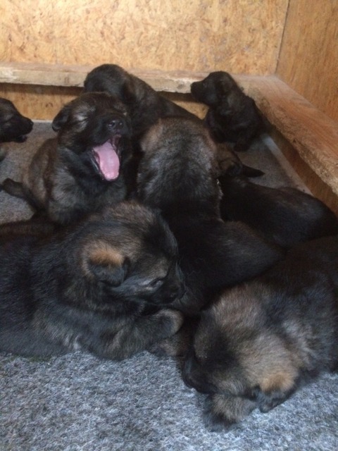 Im Alter von 20 Tagen