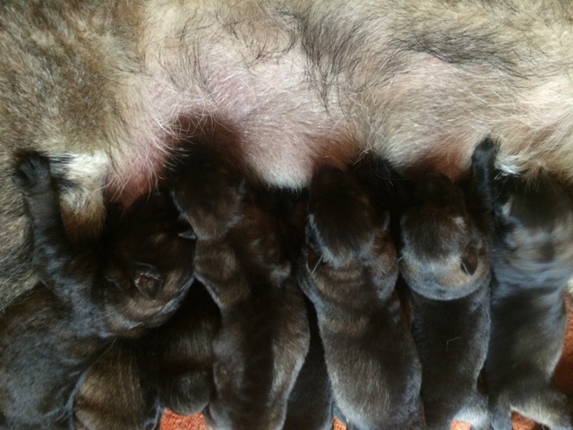 Im Alter von 2 Tagen